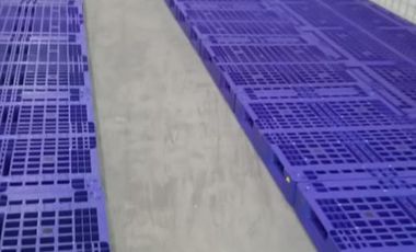 Rumah disewakan di Surabaya, Jawa Timur