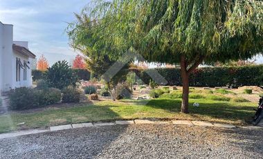 Casa en Arriendo en Lo Pinto