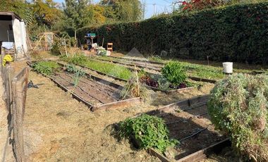 Casa en Arriendo en Lo Pinto