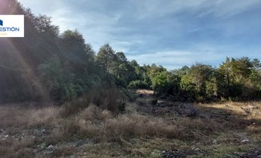 SE VENDE PARCELA EN SECTOR MONTE VERDE PUERTO MONTT