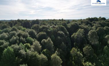 SE VENDE PARCELA EN SECTOR MONTE VERDE PUERTO MONTT