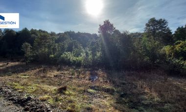 SE VENDE PARCELA EN SECTOR MONTE VERDE PUERTO MONTT