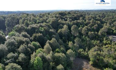 SE VENDE PARCELA EN SECTOR MONTE VERDE PUERTO MONTT