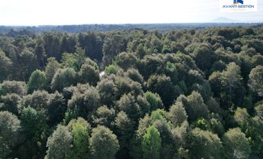 SE VENDE PARCELA EN SECTOR MONTE VERDE PUERTO MONTT
