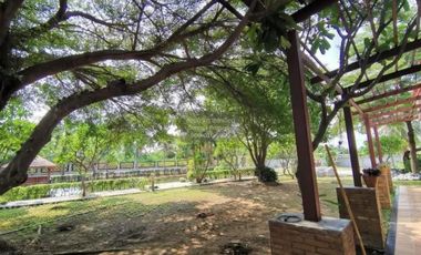 For Sale House in Muang Nakhonpathom CX-135299