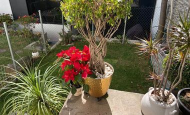 Casa en condominio en Venta en La Herradura, $9,600,000
