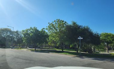 TERRENO EN JARDINES DE REJOYADA 2