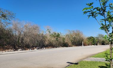 TERRENO RESIDENCIAL EN JARDINES DE REJOYADA 3