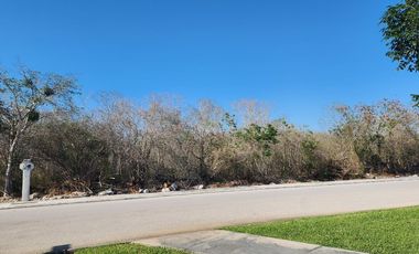 TERRENO RESIDENCIAL EN JARDINES DE REJOYADA 3