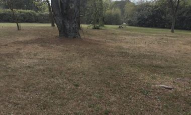 Quinta en venta - 2 Dormitorios 1 Baño - 3200Mts2 - Ignacio Correas Arana, La Plata