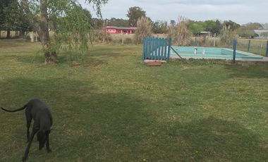 Quinta en venta - 2 Dormitorios 1 Baño - 3200Mts2 - Ignacio Correas Arana, La Plata