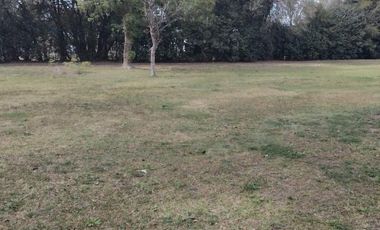 Quinta en venta - 2 Dormitorios 1 Baño - 3200Mts2 - Ignacio Correas Arana, La Plata