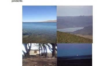 Estancia 22300 has. PIEDRA DEL AGUILA. Departamento de COLLON CURA. Provincia de Neuquén u$s 600 x Ha