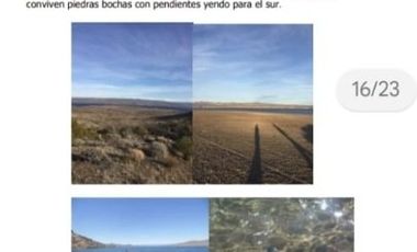 Estancia 22300 has. PIEDRA DEL AGUILA. Departamento de COLLON CURA. Provincia de Neuquén u$s 600 x Ha