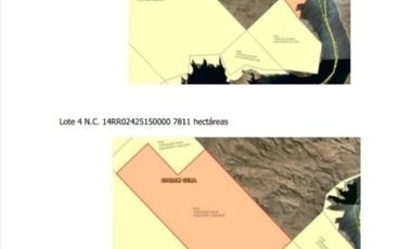 Estancia 22300 has. PIEDRA DEL AGUILA. Departamento de COLLON CURA. Provincia de Neuquén u$s 600 x Ha