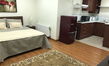 Departamento en Arriendo en Ignacio Carrera Pinto