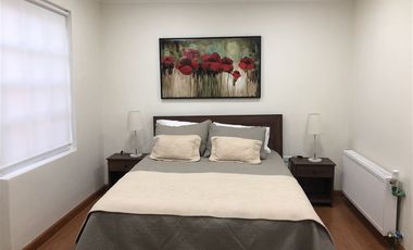 Departamento en Arriendo en Ignacio Carrera Pinto