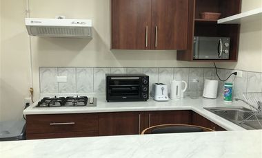 Departamento en Arriendo en Ignacio Carrera Pinto