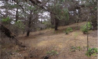 Parcela en Venta en Curaumilla Laguna Verde Valparaiso