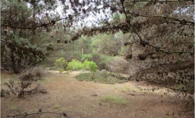 Parcela en Venta en Curaumilla Laguna Verde Valparaiso