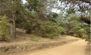 Parcela en Venta en Curaumilla Laguna Verde Valparaiso