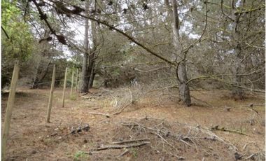 Parcela en Venta en Curaumilla Laguna Verde Valparaiso