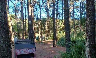 Casa en venta - 3 Dormitorios 3 Baños - Mar de las Pampas