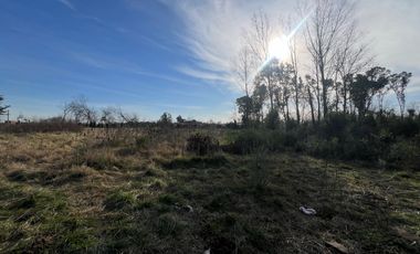 Venta de terreno con arboleda listo para escriturar en Mercedes Buenos Aires