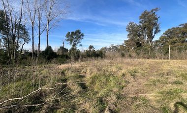Venta de terreno con arboleda listo para escriturar en Mercedes Buenos Aires