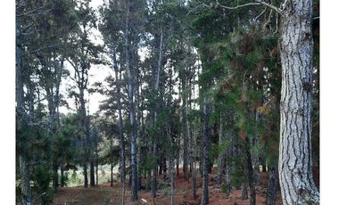 Terreno en venta - 938mts2 - Senderos IV, Costa Esmeralda