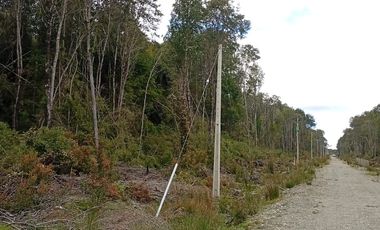 VENTA TERRENO - SITIO 5000MTS Maullín