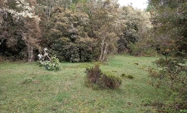 VENTA TERRENO - SITIO 5000MTS Maullín