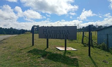 VENTA TERRENO - SITIO 5000MTS Maullín