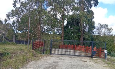 VENTA TERRENO - SITIO 5000MTS Maullín