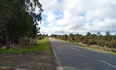 VENTA TERRENO - SITIO 5000MTS Maullín
