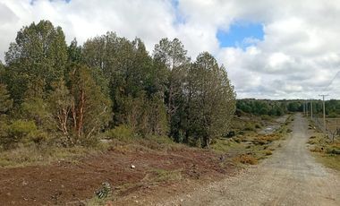 VENTA TERRENO - SITIO 5000MTS Maullín