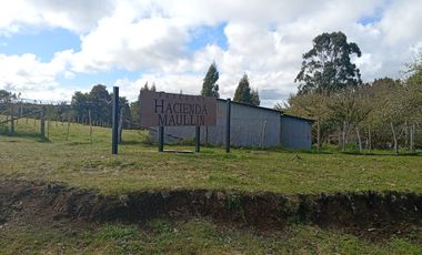 VENTA TERRENO - SITIO 5000MTS Maullín