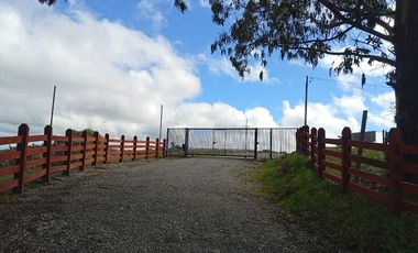 VENTA TERRENO - SITIO 5000MTS Maullín