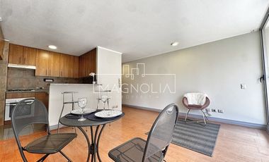 Departamento en Venta en Antonio Varas