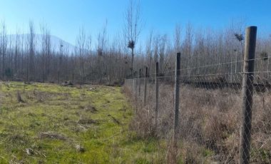 En Venta Terreno Plano de 5000 m2 con luz y agua en Coltauco