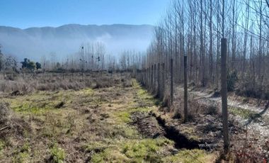 En Venta Terreno Plano de 5000 m2 con luz y agua en Coltauco