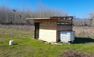 En Venta Terreno Plano de 5000 m2 con luz y agua en Coltauco
