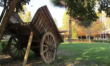 En Venta Terreno Plano de 5000 m2 con luz y agua en Coltauco