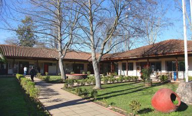 En Venta Terreno Plano de 5000 m2 con luz y agua en Coltauco