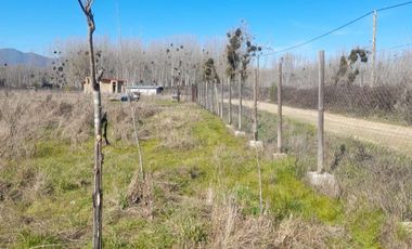 En Venta Terreno Plano de 5000 m2 con luz y agua en Coltauco