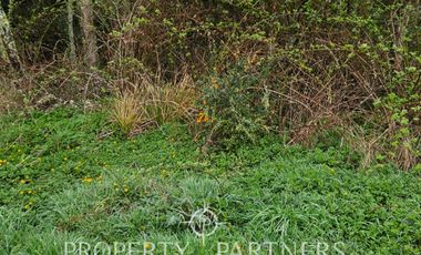 Linda parcela en Condominio «La Reserva de Frutillar»