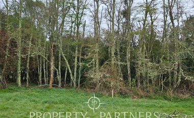 Linda parcela en Condominio «La Reserva de Frutillar»