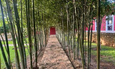 Quinta en Venta en Cansahcab, Yucatán