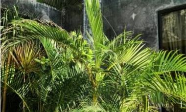 Estudio en Venta en Tulum Centro, Quintana Roo