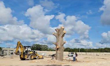 Rocio Country Living Lote Residencial 26